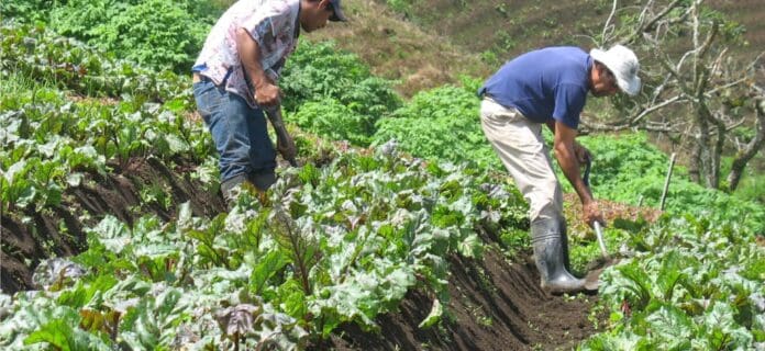 Reforma agraria en Colombia