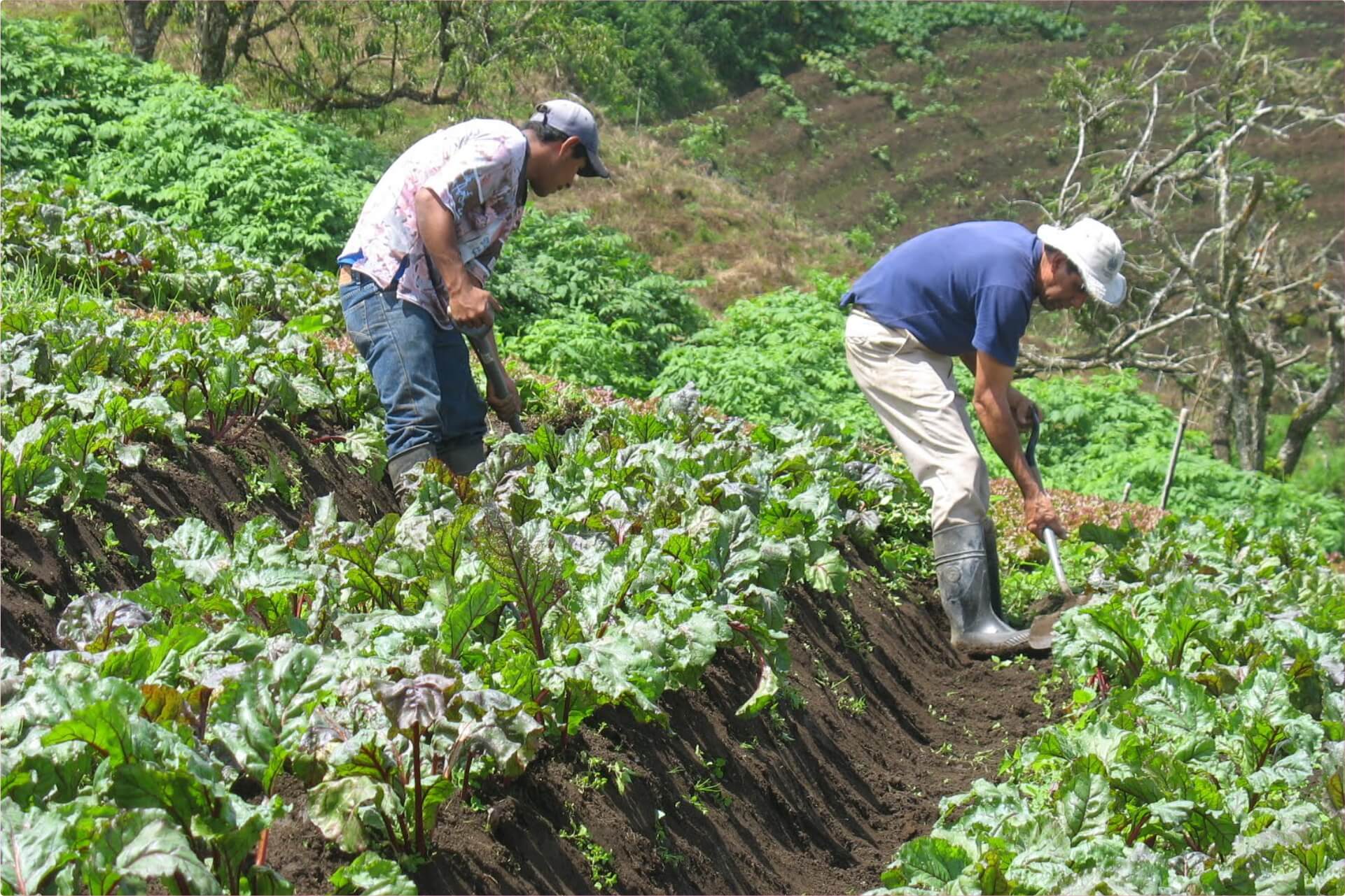 Reforma agraria en Colombia