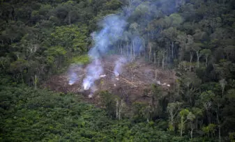 Deforestación en Colombia