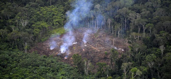 Deforestación en Colombia