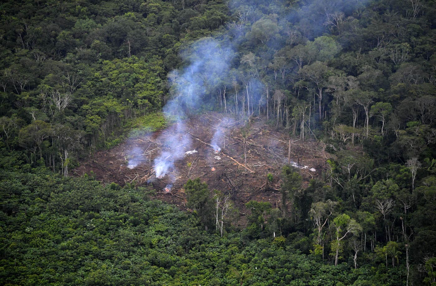 Deforestación en Colombia