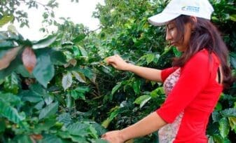 Consejería presidencial para la equidad de la mujer