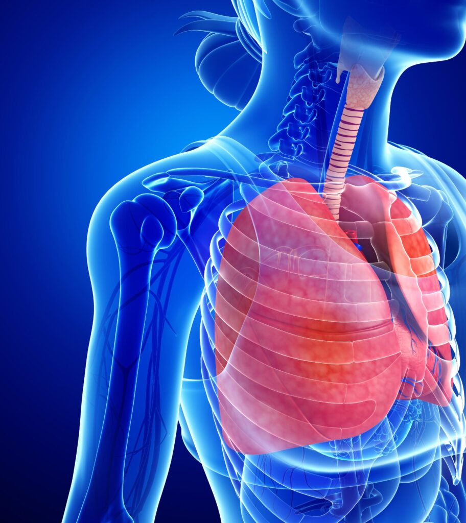 Prueba de subir escaleras como predictor de complicaciones cardiopulmonares