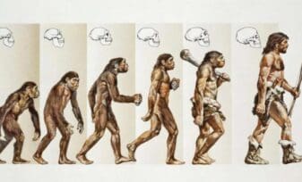 La teoría de la evolución de Charles Darwin