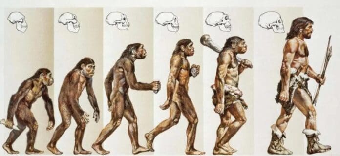 La teoría de la evolución de Charles Darwin