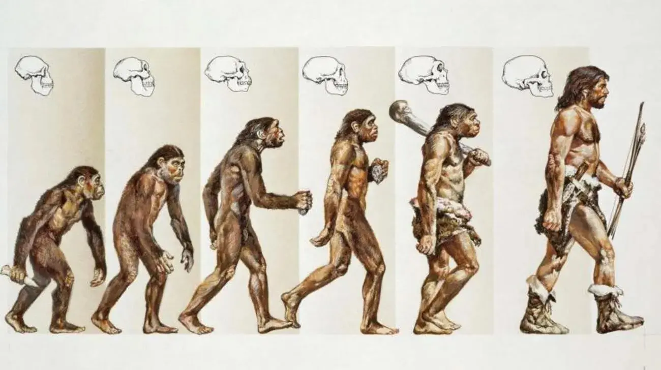 La teoría de la evolución de Charles Darwin