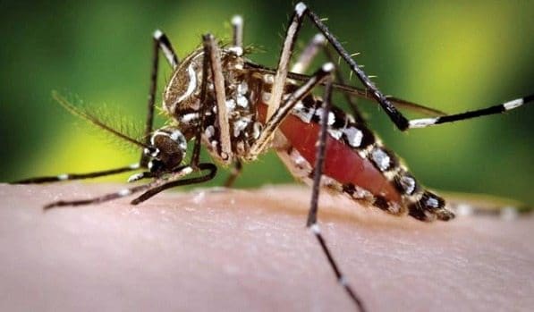 Relación Dengue Hemorrágico en Niños e IGE más que una Simple Coincidencia?