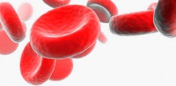 Sistema de Coagulación y Anticoagulación