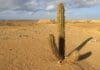 desierto de La Guajira en Colombia