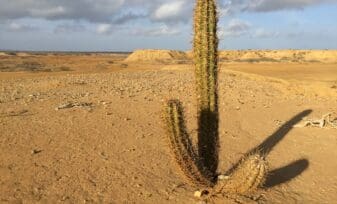 desierto de La Guajira en Colombia