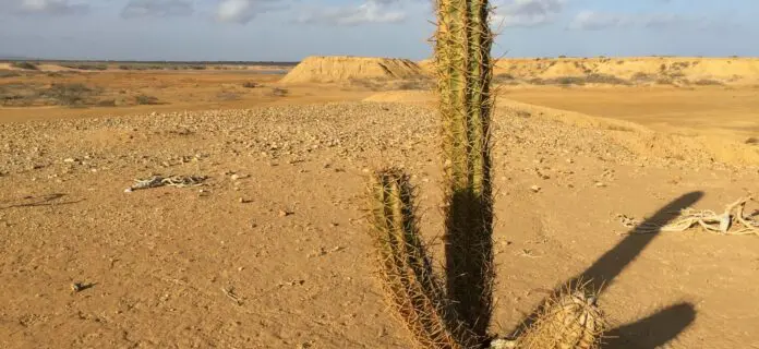 desierto de La Guajira en Colombia