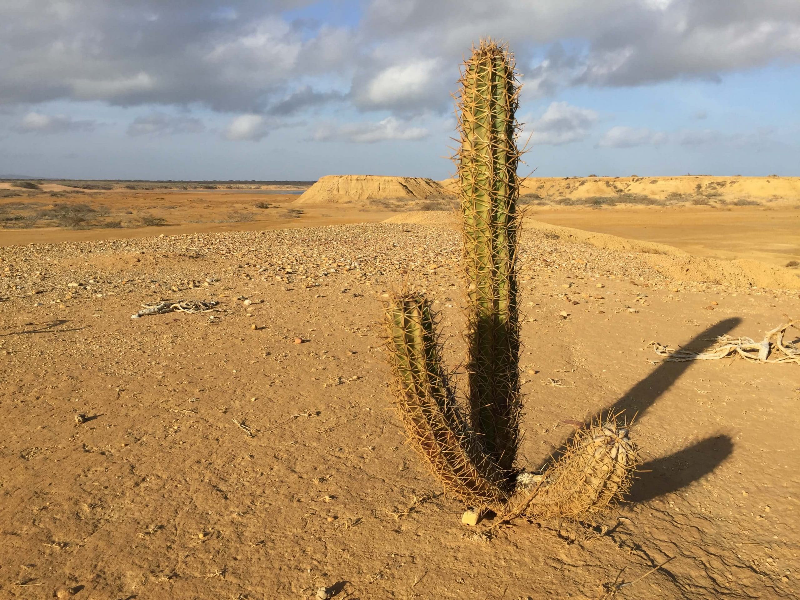 desierto de La Guajira en Colombia