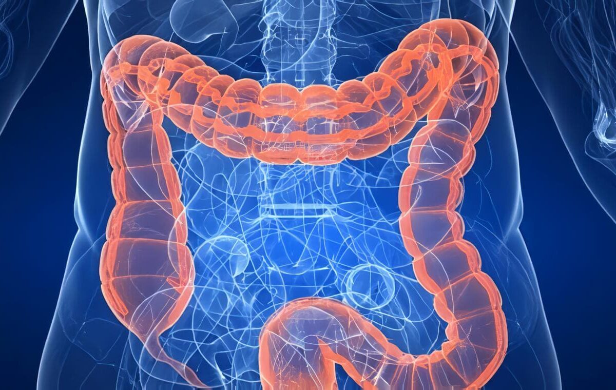Enfermedad de Hirschsprung, Fisiología