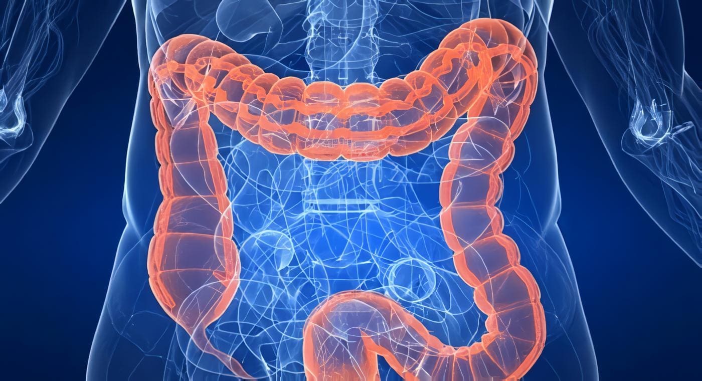 Enfermedad de Hirschsprung, Fisiología