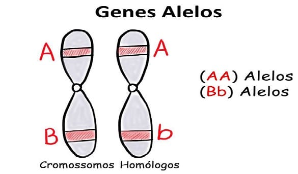 Caracterización Genética de Alelos Atípicos del Locus FGA en Población Mulata