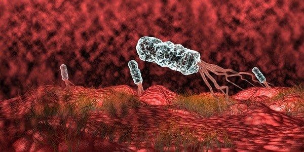 Pruebas Diagnósticas para Helicobacter Pylori Parte I