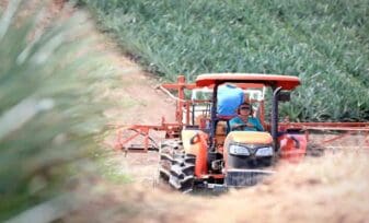 Ambiente Organizacional: Investigación Agropecuaria