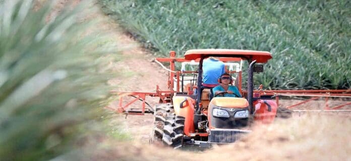 Ambiente Organizacional: Investigación Agropecuaria