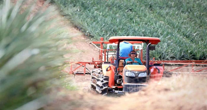 Ambiente Organizacional: Investigación Agropecuaria