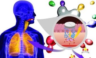 Micromatrices en Enfermedad: ADN en el Estudio del  Sistema Inmune