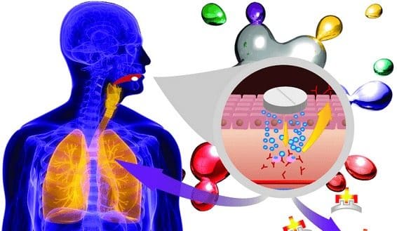 Micromatrices en Enfermedad: ADN en el Estudio del Sistema Inmune