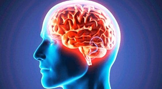 La Hipertensión podría ser una Enfermedad Vascular Inflamatoria del Cerebro