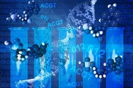 Genes relacionados con el Envejecimiento