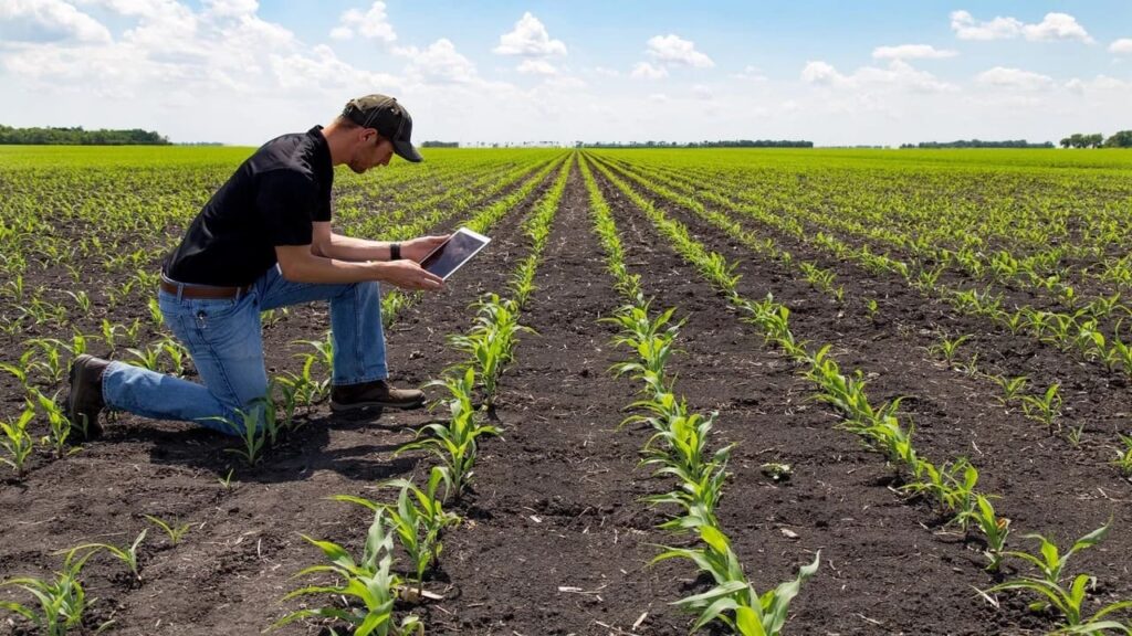 Guía para el emprendimiento en agroindustria