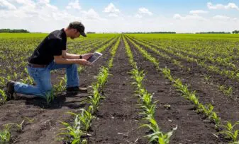 Guía para el emprendimiento en agroindustria