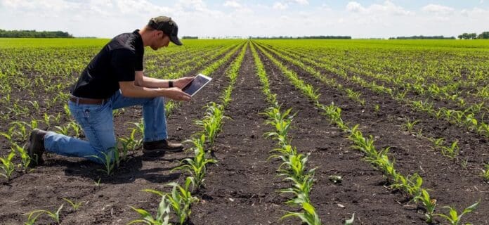 Guía para el emprendimiento en agroindustria