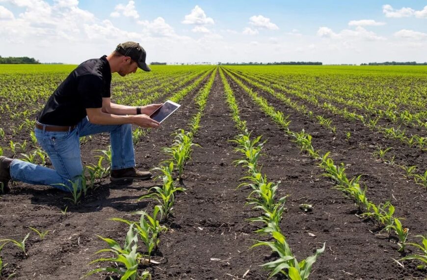 Guía para el emprendimiento en agroindustria