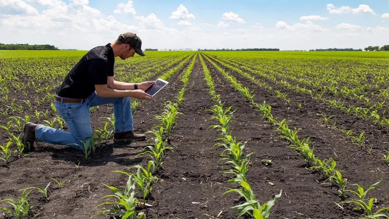 Guía para el emprendimiento en agroindustria