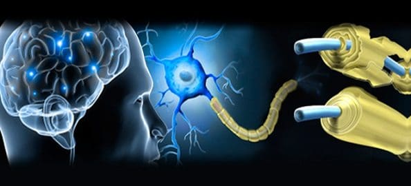 Mejores Tratamientos contra la Esclerosis Múltiple