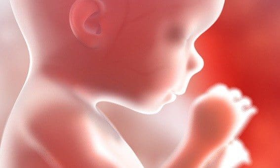 Aborto, Mitos y Realidades