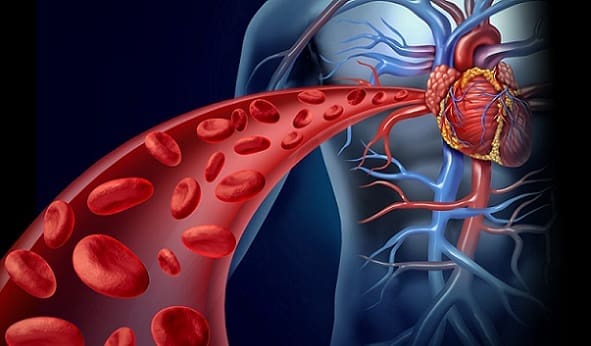 Fracciones Lipídicas de Colesterol y Triglicéridos