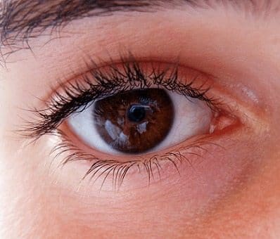 Investigadores Detectan los Genes de la Degeneración Macular