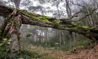 Gestión Ambiental y Economía, Conceptos