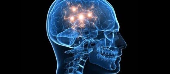 Neurobiología del Prejuicio Social I