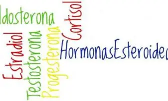 Edad Heróica de la Producción de Hormonas Esteroides