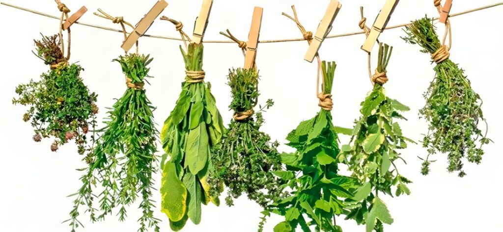 Programa Madre Canguro