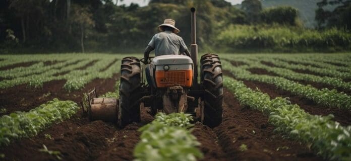 Negocios innovadores en la agroindustria