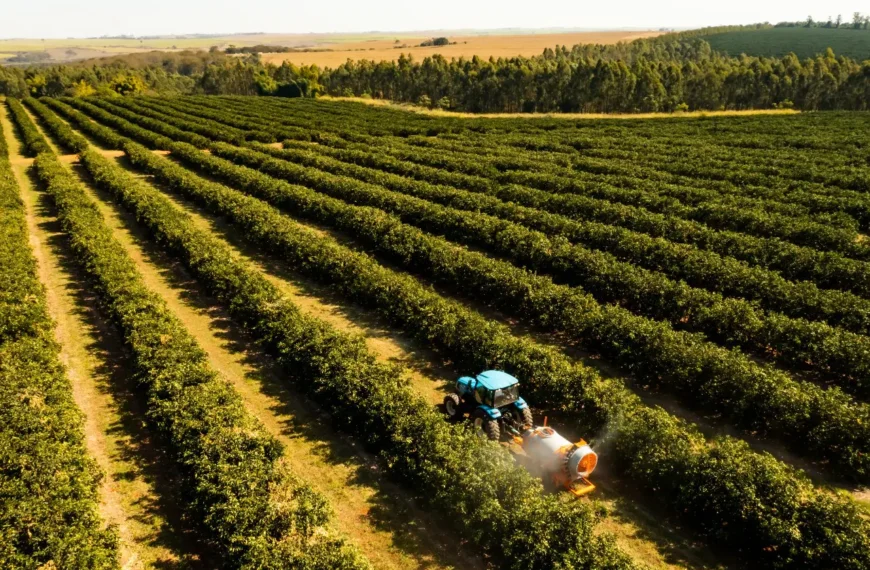 Sostenibilidad en la cadena de suministro agroindustrial