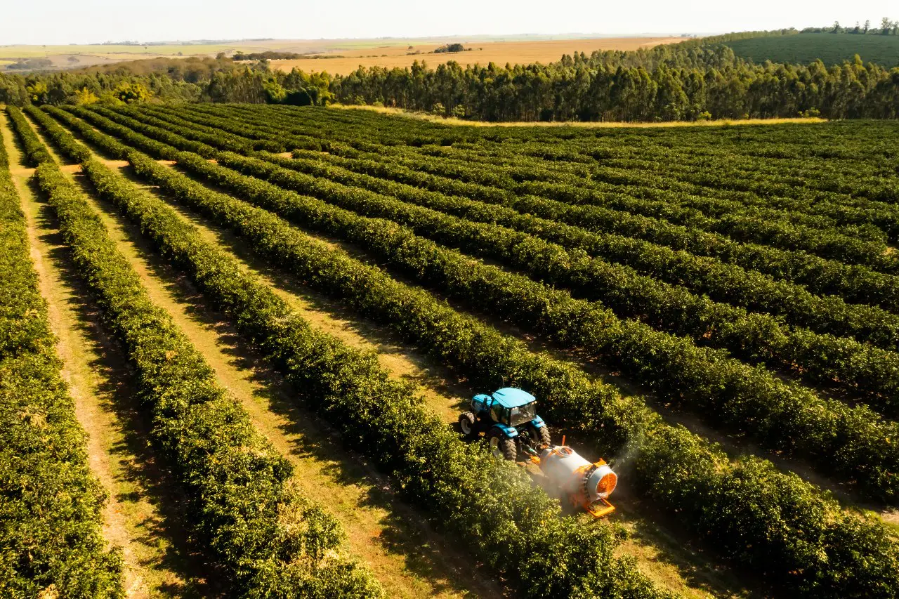 Sostenibilidad en la cadena de suministro agroindustrial