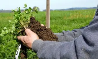 Agricultura regenerativa una solución para combatir el cambio climático