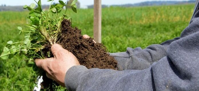 Agricultura regenerativa una solución para combatir el cambio climático