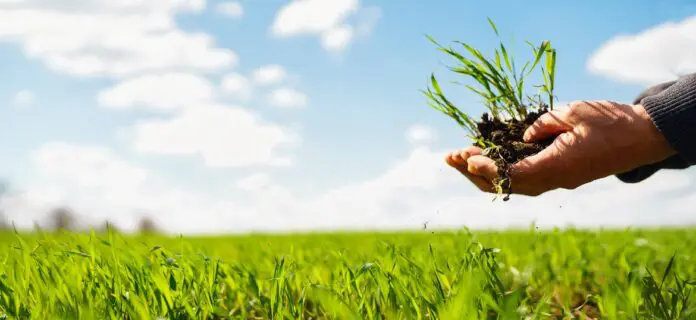 Microorganismos en la agricultura