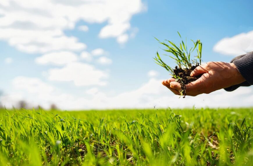 Microorganismos en la agricultura