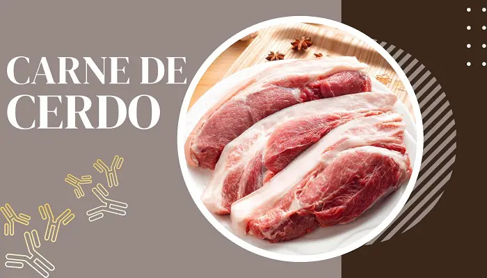 Proteína de res de cerdo