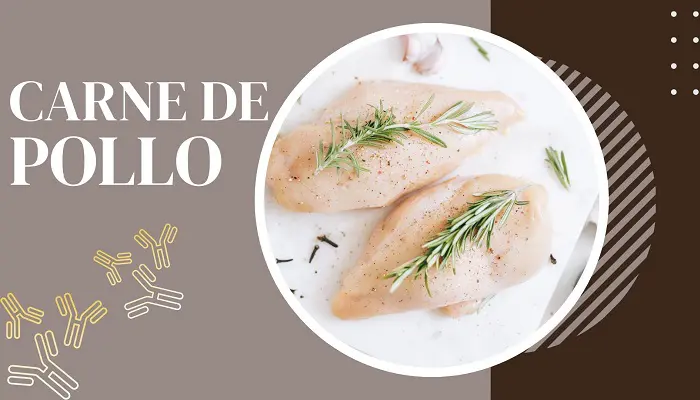 Proteína carne pollo