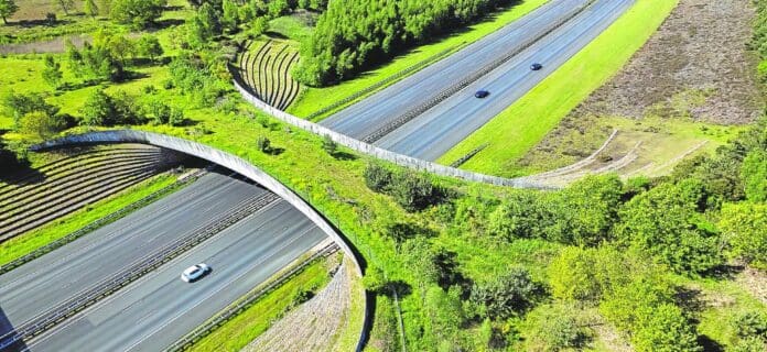 Corredores ecológicos para la fauna silvestre